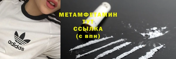 гидра Надым