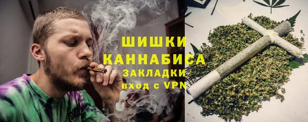 гидра Надым