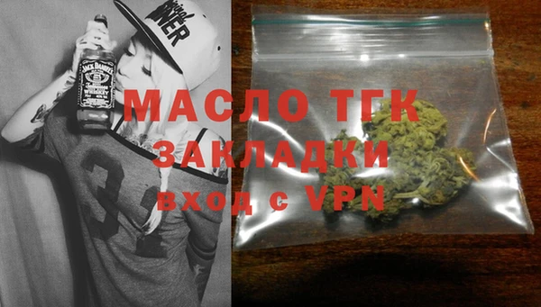 гидра Надым