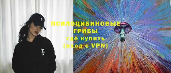 гидра Надым
