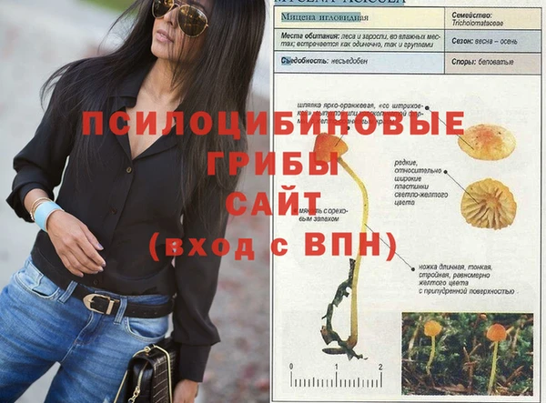 мескалин Аркадак