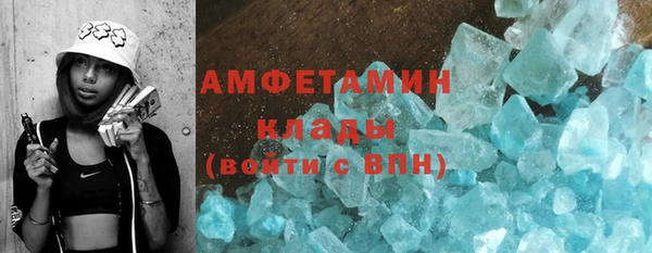 гидра Надым