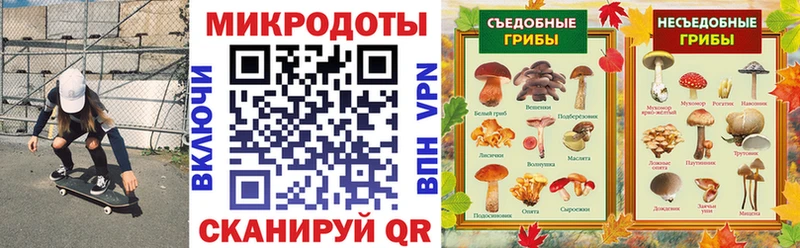 Псилоцибиновые грибы Psilocybine cubensis  OMG сайт  Сольцы  закладки 